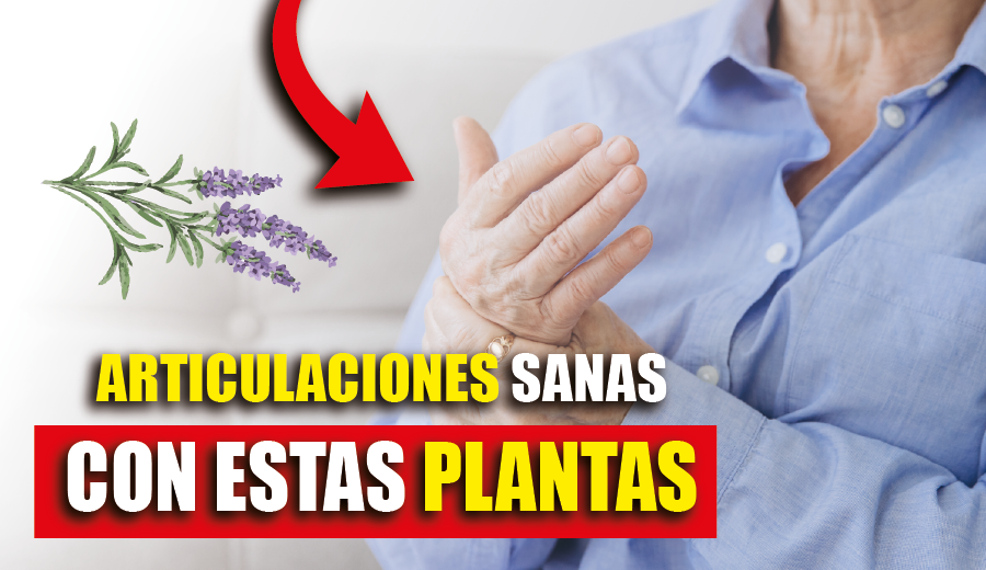 Imagen de Articulaciones sanas con estas plantas