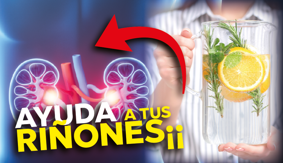 Imagen de Cuida tus riñones