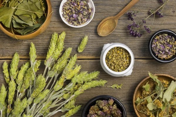 Hierbas medicinales Imagen de Hierbas medicinales