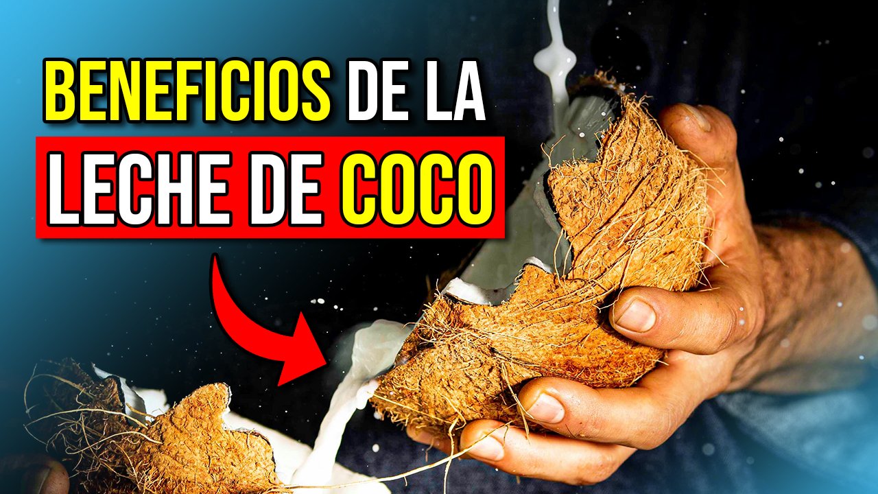 Imagen de Beneficios de la leche de coco🥥 descubre sus 14 propiedades para la salud y la piel