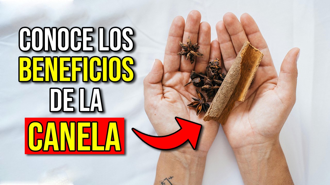 Imagen de Canela 15 beneficios para la salud en envejecimiento, diabetes y peso